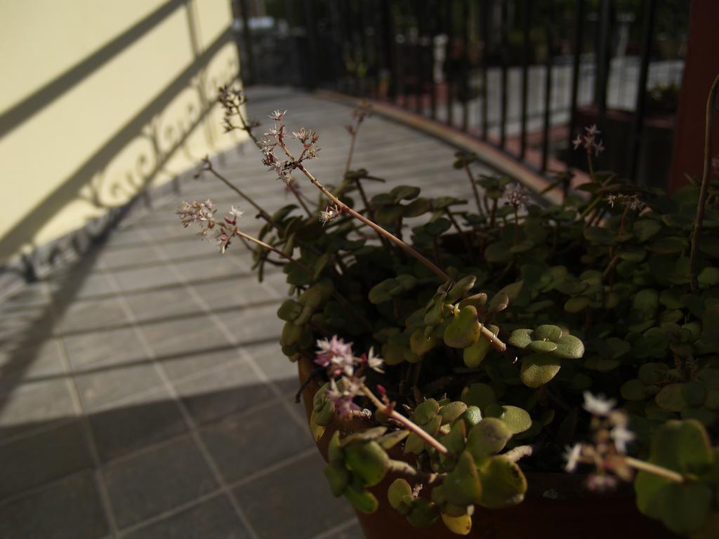 Una Noche Más B&B Montevideo Exterior foto